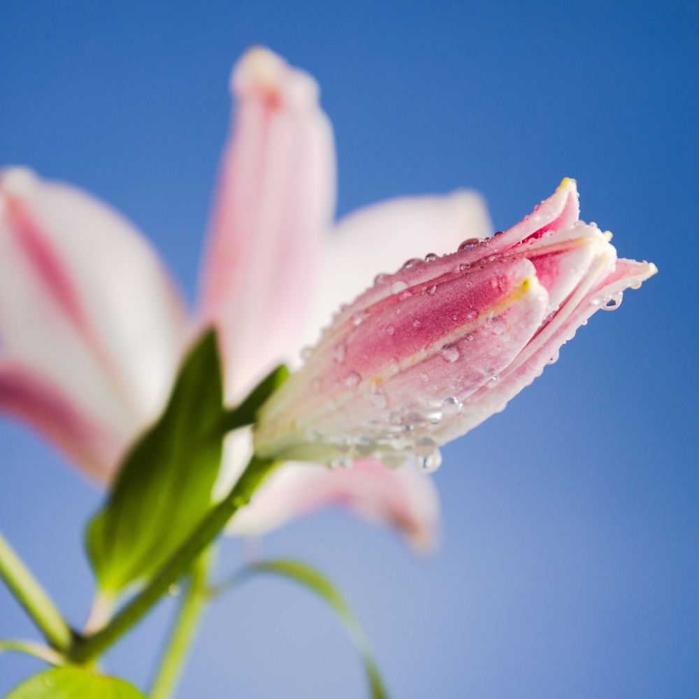 fotografía social freelance mavi vicente murcia